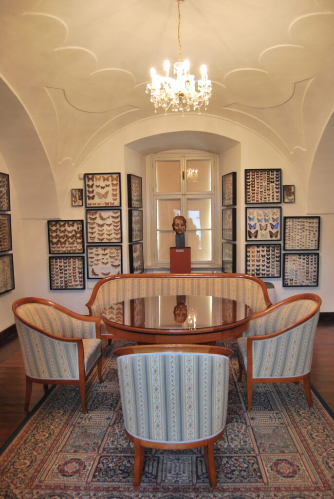 muzeum1