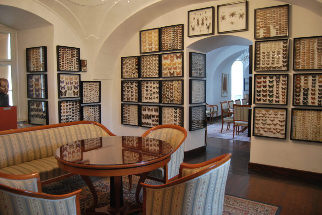 muzeum2